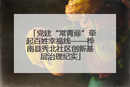党建“常青藤”牵起百姓幸福线——桦南县秀北社区创新基层治理纪实