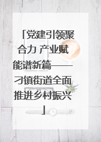 党建引领聚合力 产业赋能谱新篇——刁镇街道全面推进乡村振兴