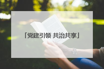 党建引领 共治共享