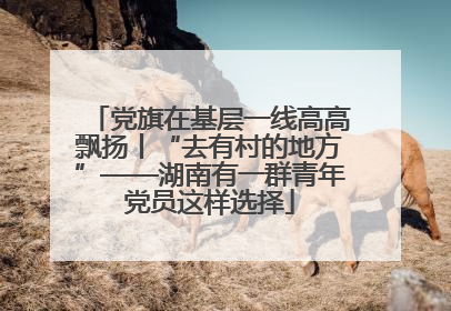 党旗在基层一线高高飘扬丨“去有村的地方”——湖南有一群青年党员这样选择