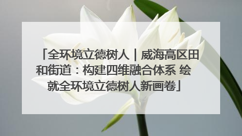 全环境立德树人｜威海高区田和街道：构建四维融合体系 绘就全环境立德树人新画卷