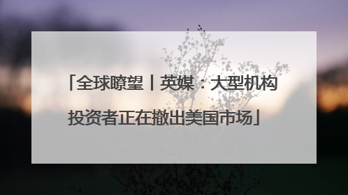 全球瞭望丨英媒：大型机构投资者正在撤出美国市场
