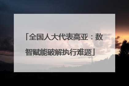 全国人大代表高亚：数智赋能破解执行难题