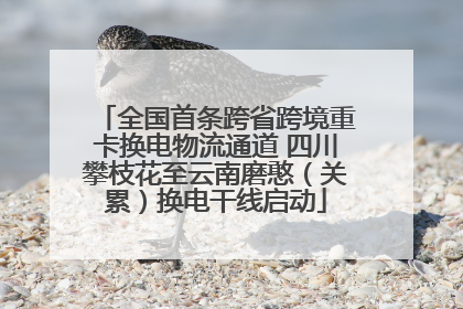 全国首条跨省跨境重卡换电物流通道 四川攀枝花至云南磨憨（关累）换电干线启动