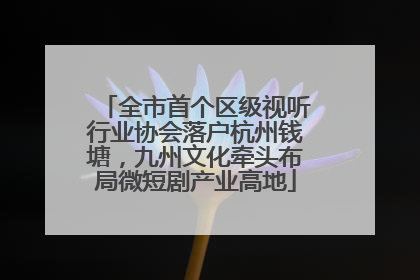 全市首个区级视听行业协会落户杭州钱塘，九州文化牵头布局微短剧产业高地
