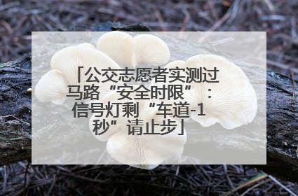 公交志愿者实测过马路“安全时限”：信号灯剩“车道-1秒”请止步