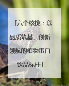六个核桃：以品质筑基、创新领航的植物蛋白饮品标杆