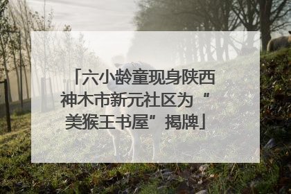 六小龄童现身陕西神木市新元社区为“美猴王书屋”揭牌