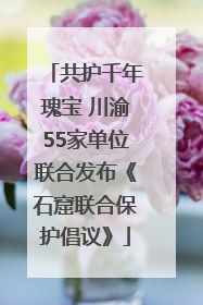 共护千年瑰宝 川渝55家单位联合发布《石窟联合保护倡议》