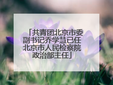 共青团北京市委副书记乔学慧已任北京市人民检察院政治部主任