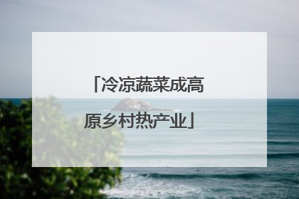 冷凉蔬菜成高原乡村热产业
