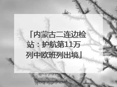 内蒙古二连边检站：护航第11万列中欧班列出境