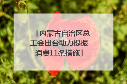 内蒙古自治区总工会出台助力提振消费11条措施