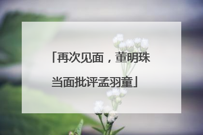 再次见面，董明珠当面批评孟羽童