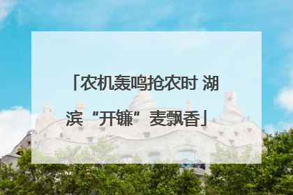 农机轰鸣抢农时 湖滨“开镰”麦飘香
