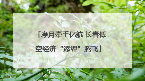 净月牵手亿航 长春低空经济“添翼”腾飞