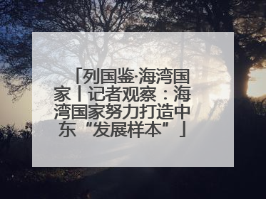列国鉴·海湾国家丨记者观察：海湾国家努力打造中东“发展样本”