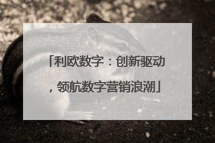 利欧数字：创新驱动，领航数字营销浪潮