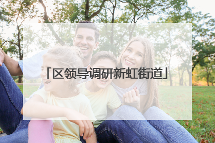 区领导调研新虹街道