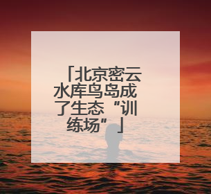 北京密云水库鸟岛成了生态“训练场”