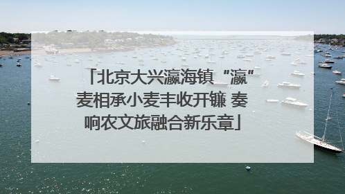 北京大兴瀛海镇“瀛”麦相承小麦丰收开镰 奏响农文旅融合新乐章