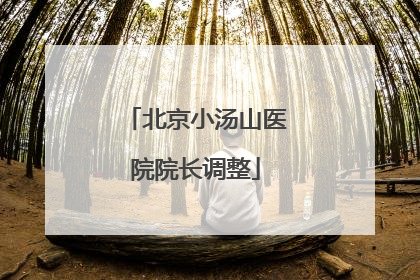 北京小汤山医院院长调整