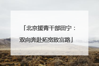 北京援青干部田宁：双向奔赴拓宽致富路