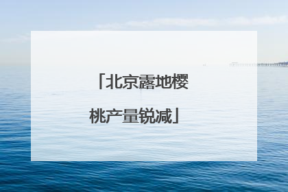 北京露地樱桃产量锐减