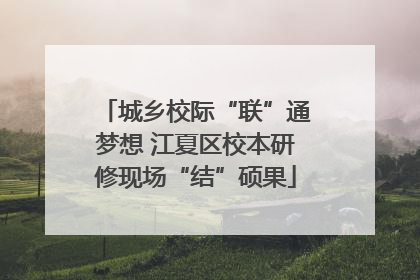 城乡校际“联”通梦想 江夏区校本研修现场“结”硕果