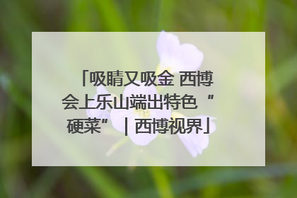 吸睛又吸金 西博会上乐山端出特色“硬菜”｜西博视界