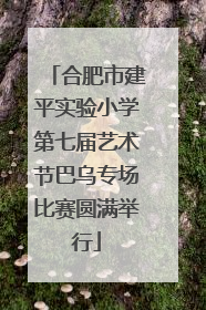 合肥市建平实验小学第七届艺术节巴乌专场比赛圆满举行
