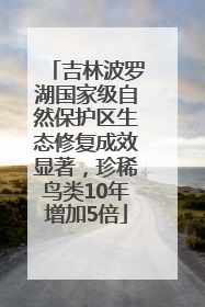 吉林波罗湖国家级自然保护区生态修复成效显著，珍稀鸟类10年增加5倍