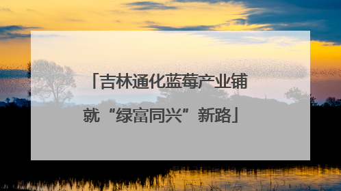 吉林通化蓝莓产业铺就“绿富同兴”新路