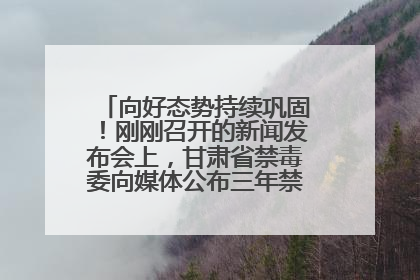 向好态势持续巩固！刚刚召开的新闻发布会上，甘肃省禁毒委向媒体公布三年禁毒工作“成绩单”