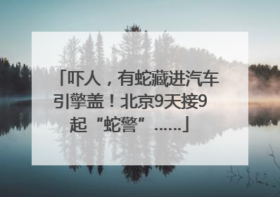 吓人，有蛇藏进汽车引擎盖！北京9天接9起“蛇警”……