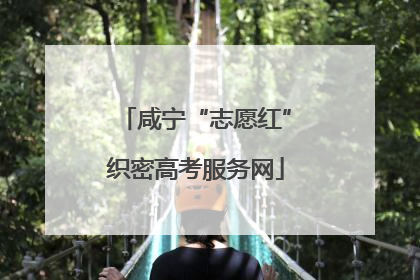 咸宁“志愿红”织密高考服务网