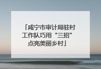咸宁市审计局驻村工作队巧用“三招”点亮美丽乡村