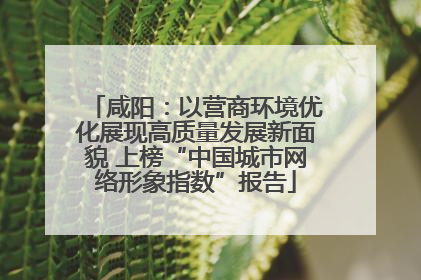 咸阳：以营商环境优化展现高质量发展新面貌 上榜“中国城市网络形象指数”报告