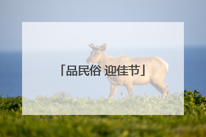 品民俗 迎佳节