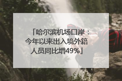 哈尔滨机场口岸：今年以来出入境外籍人员同比增49%