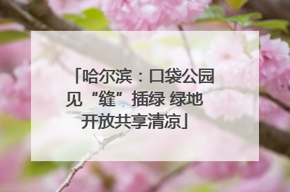 哈尔滨：口袋公园见“缝”插绿 绿地开放共享清凉