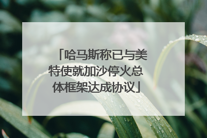哈马斯称已与美特使就加沙停火总体框架达成协议