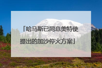 哈马斯已同意美特使提出的加沙停火方案