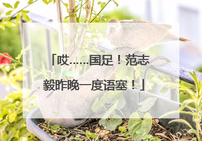 哎……国足！范志毅昨晚一度语塞！
