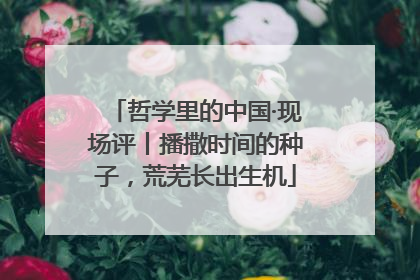 哲学里的中国·现场评丨播撒时间的种子，荒芜长出生机