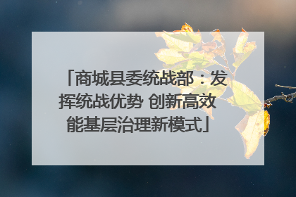 商城县委统战部：发挥统战优势 创新高效能基层治理新模式