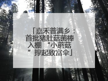 嘉禾普满乡：首批猪肚菇菌棒入棚 “小蘑菇”撑起致富伞