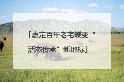 嘉定百年老宅蝶变“活态传承”新地标