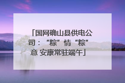 国网确山县供电公司：“粽”情“粽”意 安康常驻端午