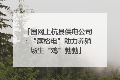 国网上杭县供电公司：“满格电”助力养殖场生“鸡”勃勃